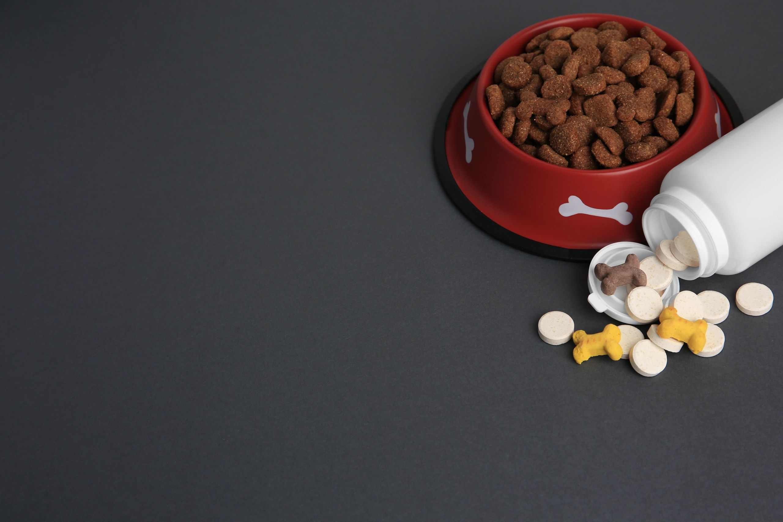 Suplementos para mascotas